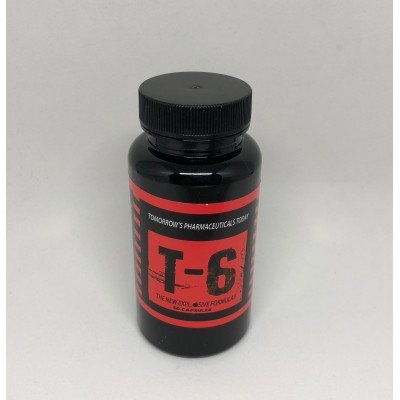 T6 Fatburner 60 kapslar Zion-Labs